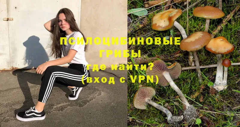 Галлюциногенные грибы Psilocybe  цена наркотик  Бузулук 